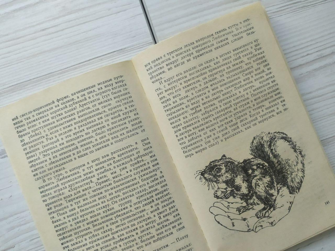 Product image preview