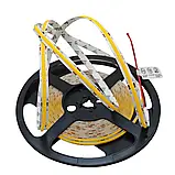 Світлодіодна стрічка COLORS, 24V, COB,15W, 1350Lm, IP20, 3000K (DF15-24V-8mm-WW), фото 3