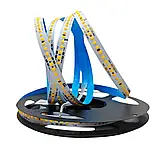 Світлодіодна стрічка COLORS, 24V, 192 led/m, 14.4W, 1310Lm, IP33, 3000K (FD192-24V-10mm-WW), фото 2