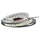 Світлодіодна стрічка COLORS, 24V, 128 led/m, 14W, 1890Lm, IP33, 6000K (DS8128-24V-10mm-PW(80), фото 8