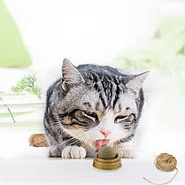 Ласощі з м'ятою для кішок із котяча м'ята, льодяник для котів, кругла кулька з м'ятою на липучці (720), фото 3