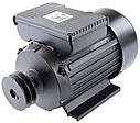 Мотор для компресора Powermat PM-KO-100T-150T-200T-230V-SI, фото 3