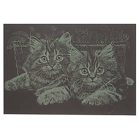 Гравюра А5 "Котики" Danko Toys ГрА5з-3 економ варіант у пакеті 21 х 14,8 см, Toyman