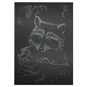 Гравюра А5 "Єнот" Danko Toys ГрА5з-10 економ варіант у пакеті 21 х 14,8 см, Toyman