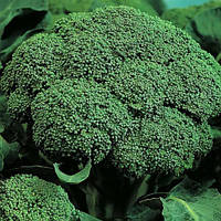 Капуста броколі "Монако" F1 15 шт.