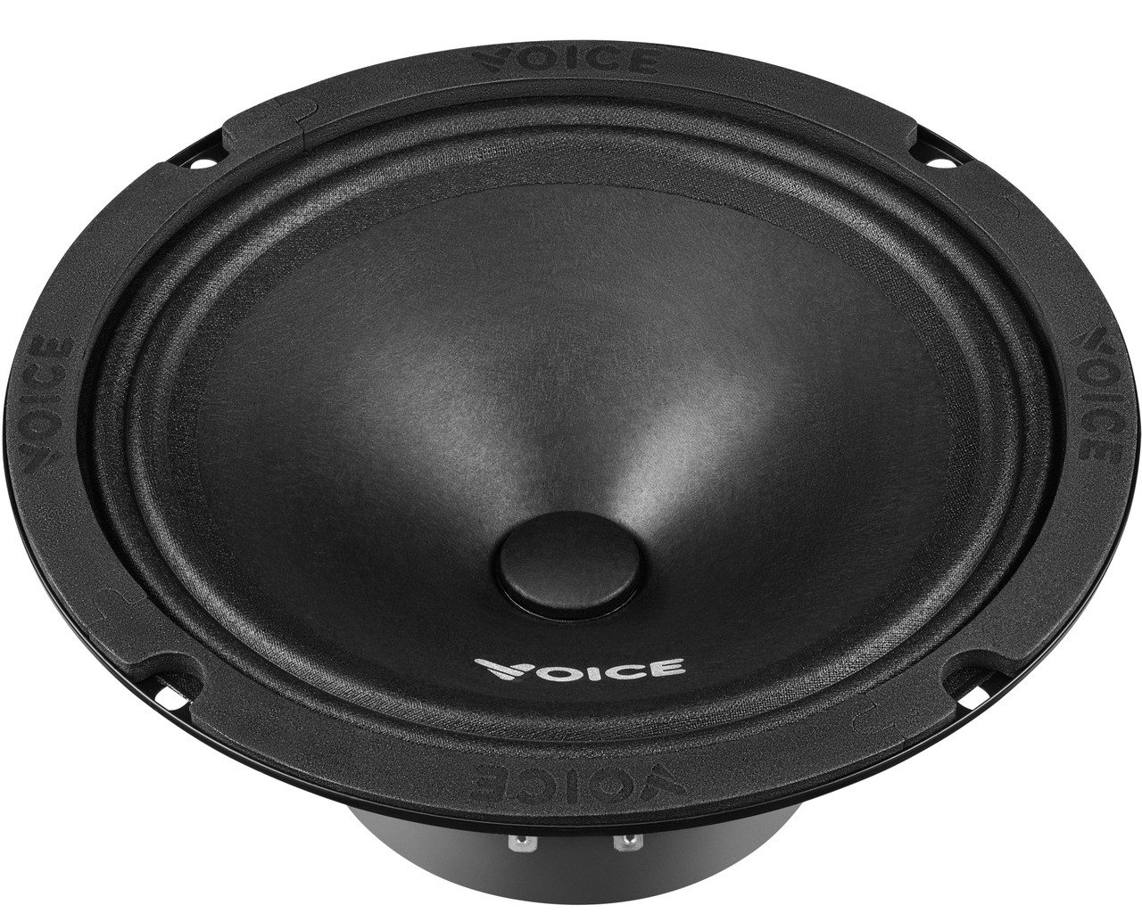 Естрадна акустика Voice ST-200, фото 1