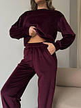 Жіночий велюровий спортивний костюм, фото 9