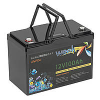 Літій-ферумний акумулятор Weekender LiFePO4 12 V 100 Ah з РК-дисплеєм