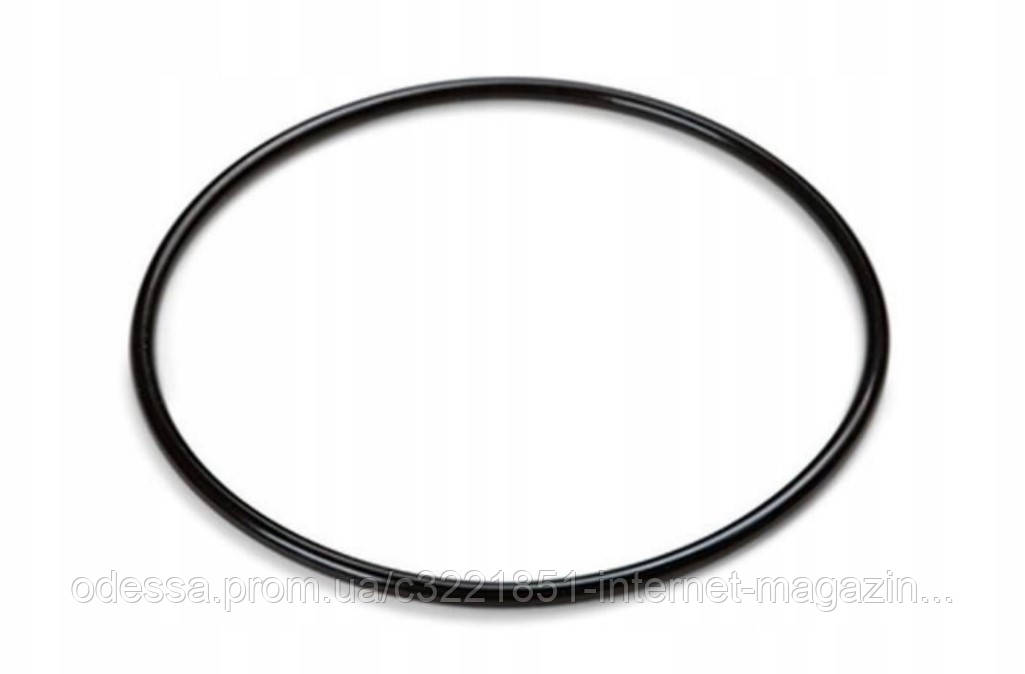Кільце ущільнювальне Intex 11515 (для титанового електрода, Ø67 мм, підходить до: Intex 26666, 26670, 28680, 28676, 28666, 28682,