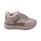 Кросівки жіночі Sorte Lady капучіно натуральна шкіра, 37, фото 3