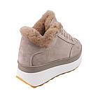 Кросівки жіночі Fashion капучіно натуральна замша, 40, фото 4