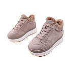 Кросівки жіночі Fashion капучіно натуральна замша, 40, фото 5