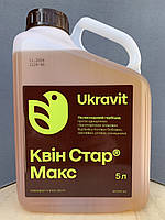 Гербіцид Квін Стар Макс 5л