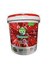 Порошок для прання кольорових речей Bergreen Classic Color на 140 прань (відро) 10 кг