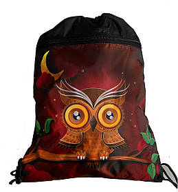 Сумка для змінного взуття Казкова сова 7865