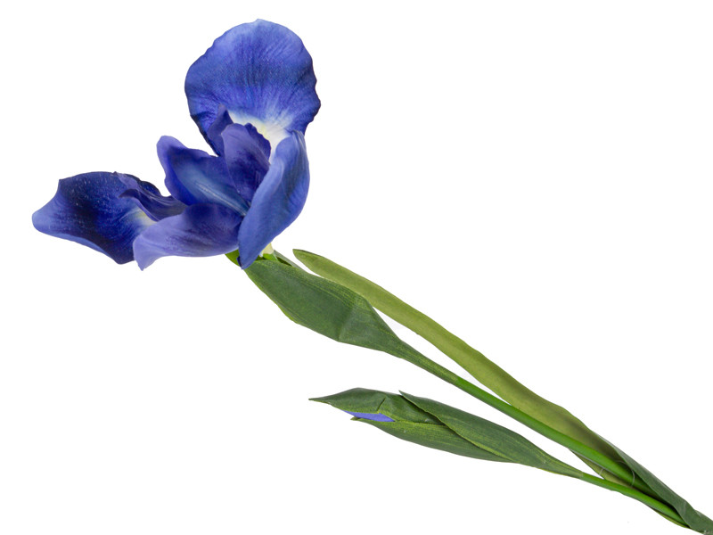 Ірис блакитний 76 см (пластик), фото 1