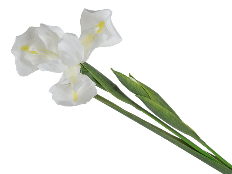 Ірис білий 76 см (пластик), фото 1