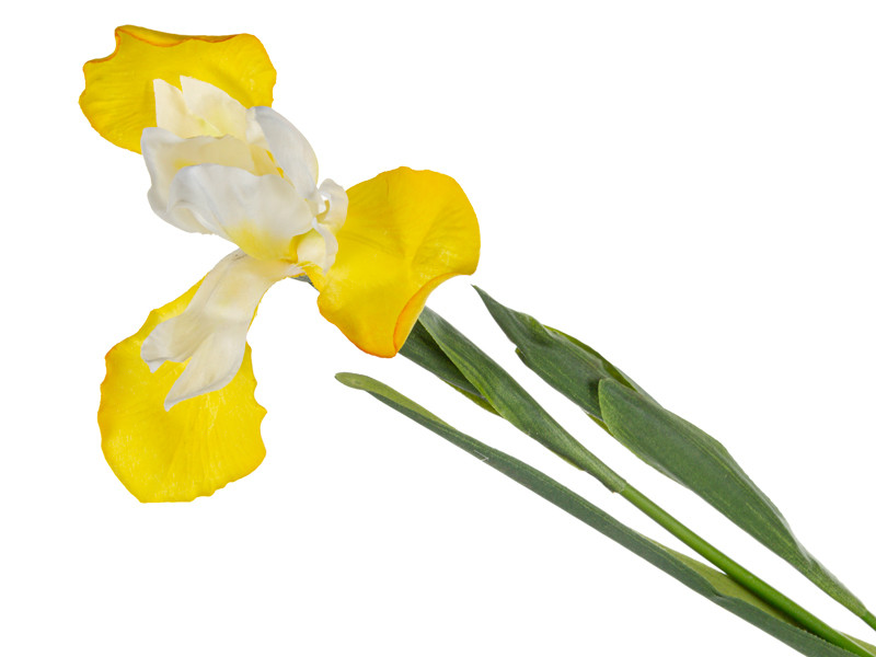 Ірис жовтий 76 см (пластик), фото 1