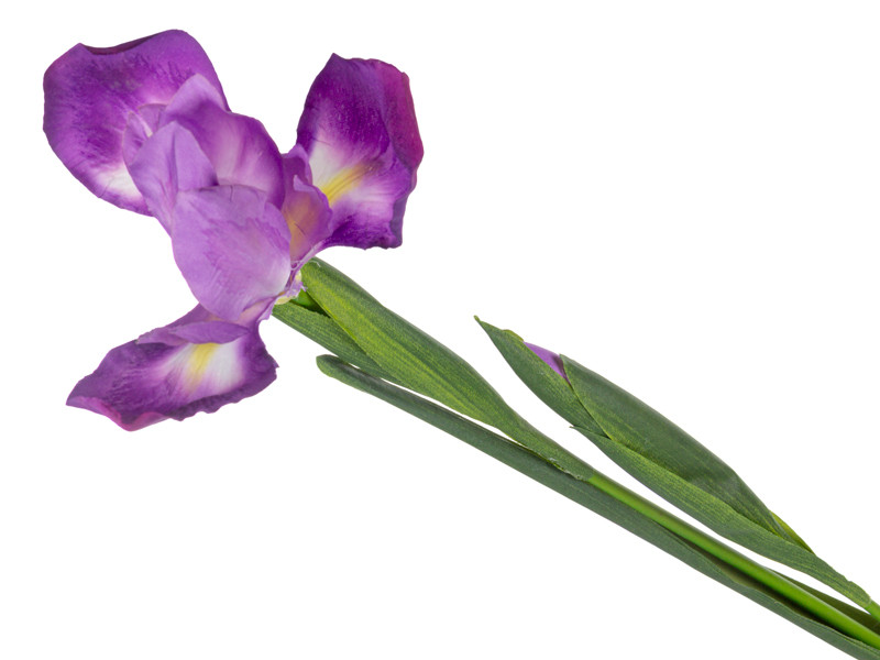 Ірис ліловий 76 см (пластик), фото 1