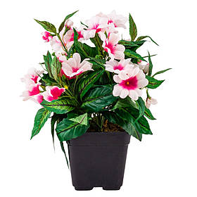 Фіалка, 28 см ELISEY