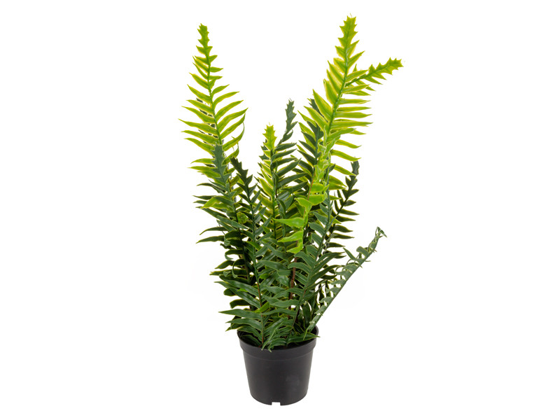 Штучна рослина папороть зелена 34х30х30 см (пластик / залізо), фото 1
