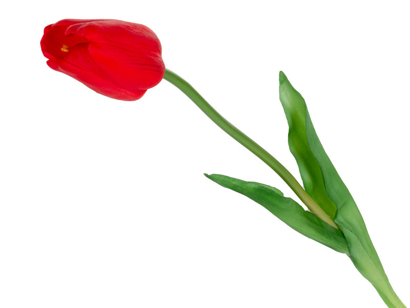 Тюльпан червоний 44 см  (шовк штучний), фото 1