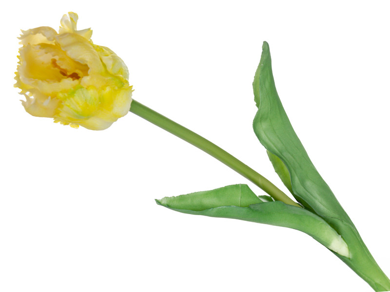 Тюльпан жовтий 47 см (шовк штучний), фото 1