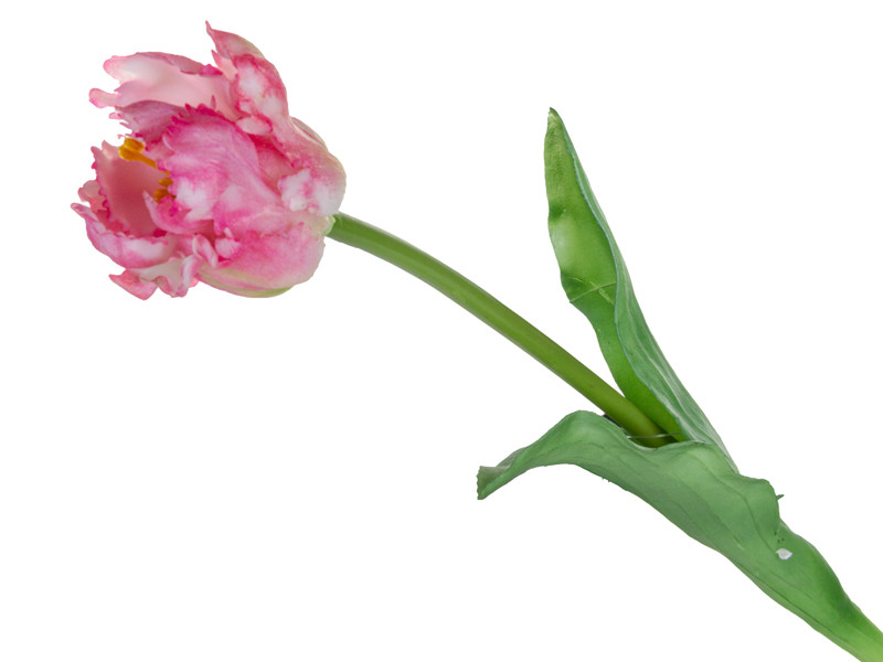 Тюльпан біло-рожевий 47 см (шовк штучний), фото 1