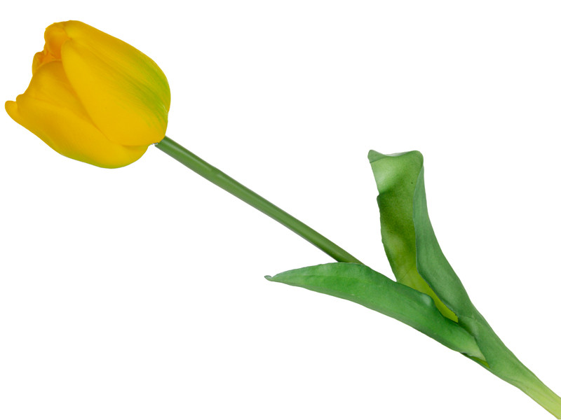 Тюльпан жовтий 44 см  (шовк штучний), фото 1