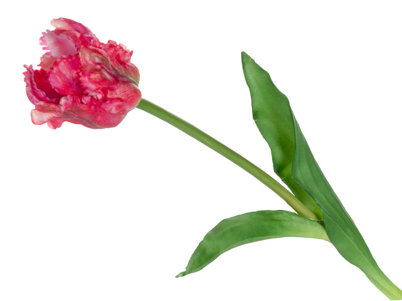 Тюльпан червоно-рожевий 47 см (шовк штучний), фото 1