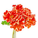 Букет маків, 5 бутонів, помаранчевий, 31 см ELISEY, фото 3