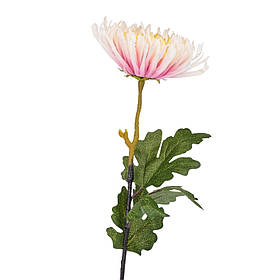 Хризантема "Натхнення", кремово-рожева, 82 см ELISEY