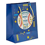 Подарунковий пакет "Спортивний дух", 18*23 см * Рандомний вибір дизайну ELISEY, фото 3