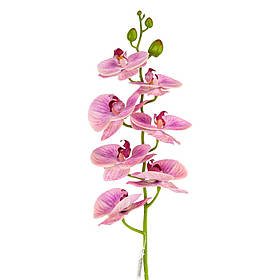 Штучна орхідея, лілова, 75 см ELISEY