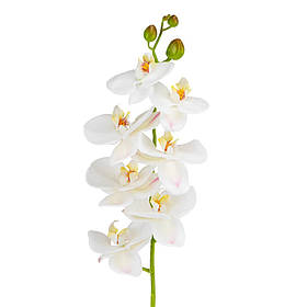 Штучна орхідея, біла, 75 см ELISEY