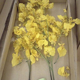 УЦІНКА Орхідея (силікон, 70 см) (Сипляться квіти,треба клеїти) ELISEY