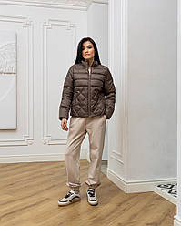 Весняна куртка коричньова біопух
