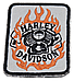 Нашівка з вишивкою "Harley-Davidson "  6 см х 8 см, фото 3