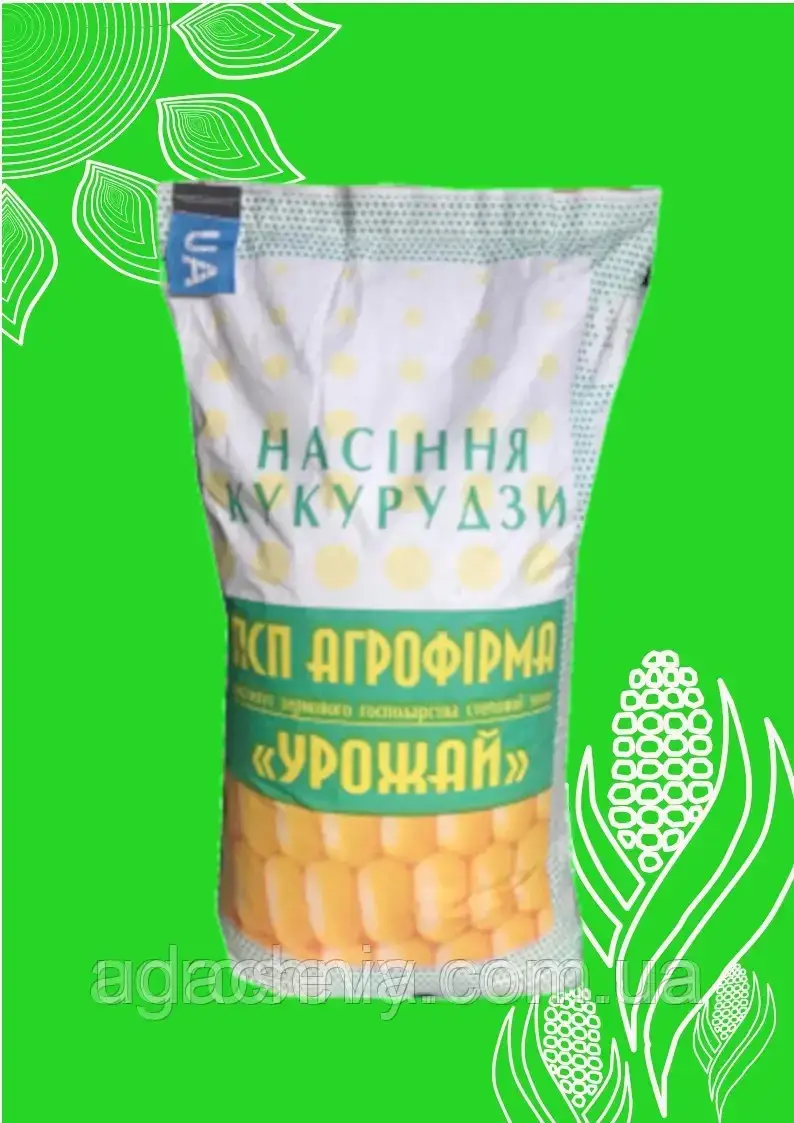 Насіння кукурудзи СОЛОНЯНСЬКИЙ 298 СВ (ФАО 310)