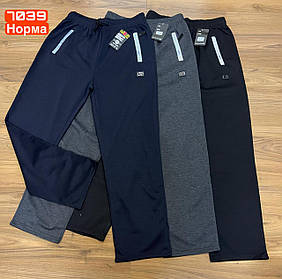 Чоловічі спортивні штани №7039 р.М-3XL (46,48,50,52,54)
