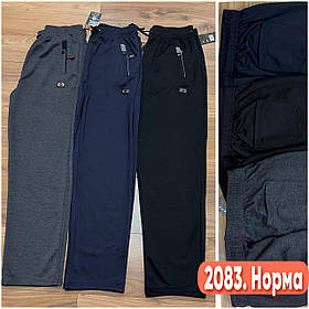 Чоловічі спортивні штани, прямі №2083 р.М-3XL (46,48,50,52,54)