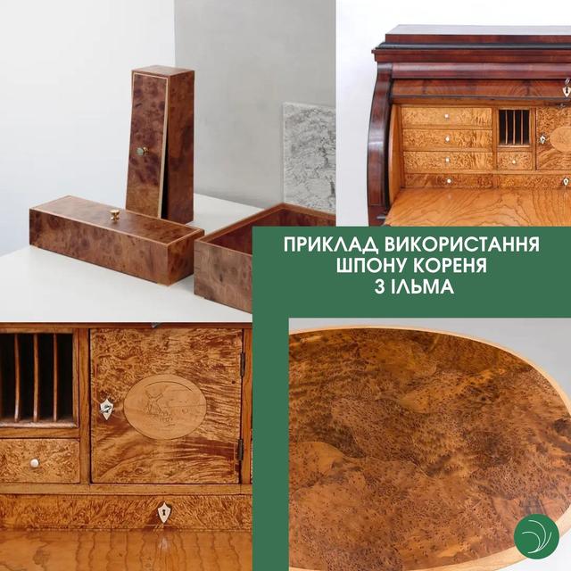 Шпон з кореня ільма (в'яза) купити Київ