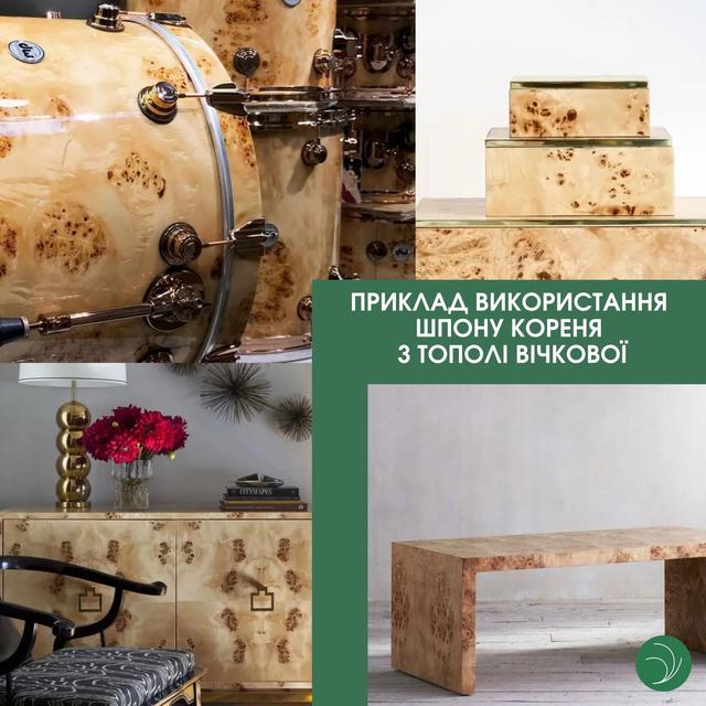 Шпон корінь Тополя Вічкова купити Львів