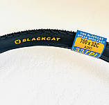 Покришка 700×32C (32-622) BLACK CAT. Шина 700х32. Гума на турист 700х32, фото 5