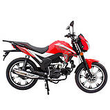 Альфа-спорт SP125C-2AR | Безкоштовна доставка. У заводській упаковці., фото 7