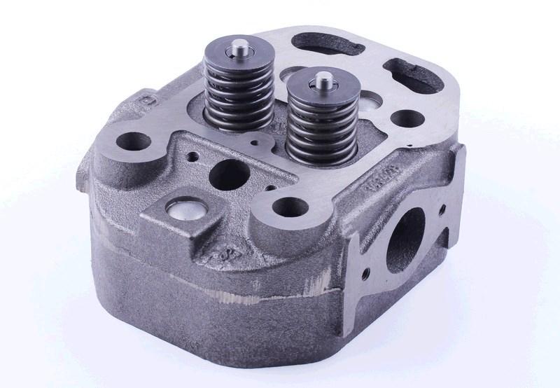 Головка циліндра м/б ZS/ZH 1100 (у зборі) DIGGER