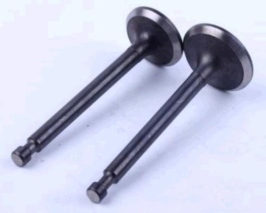 Клапани (пара, голі) м/б 177F (9Hp) ST