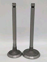 Клапани (пара, голі) м/б 186F (9Hp) TD