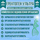 Капсули для чоловіків 60 капсул підтримка потенції лібідо витривалість урогенітальний комфорт Еректоген Ультра, фото 2