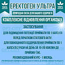 Капсули для чоловіків 60 капсул підтримка потенції лібідо витривалість урогенітальний комфорт Еректоген Ультра, фото 4